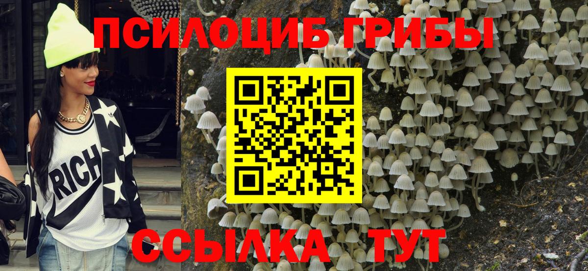 Псилоцибиновые грибы Magic Shrooms  Вход с VPN  Псилоцибиновые грибы Magic Shrooms  Мариинск 